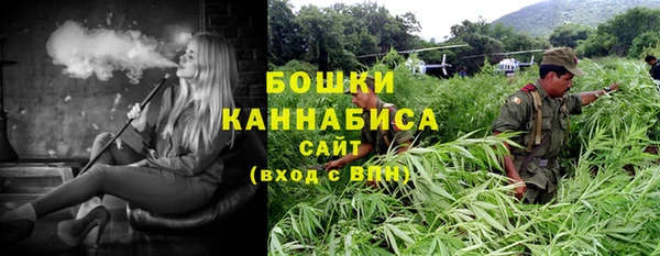 дживик Надым